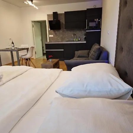 Apartahotel & Burgers Rezidenca Pipanova Liubliana