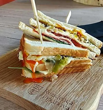 Aparthotel & Burgers Rezidenca Pipanova Lublaň