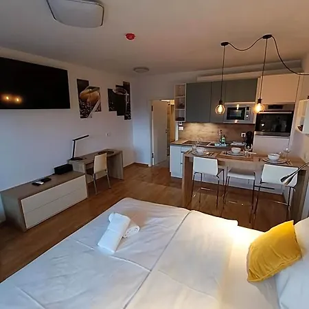 Apartahotel & Burgers Rezidenca Pipanova Liubliana