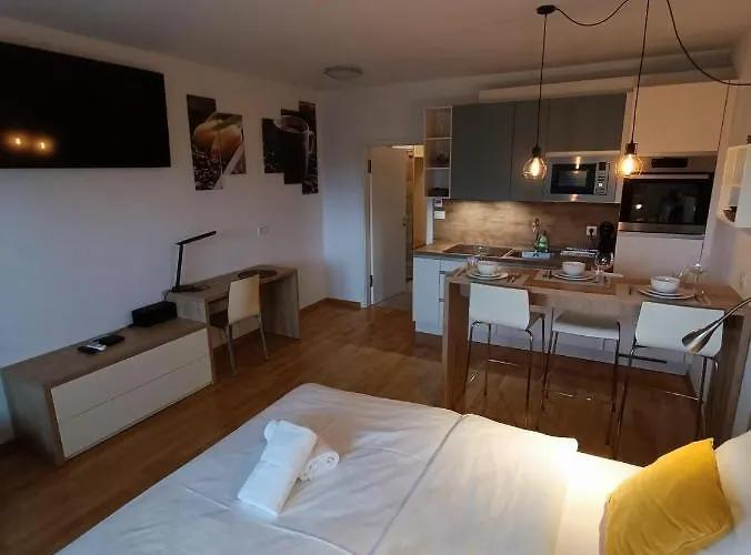 & Burgers Rezidenca Pipanova 4* Lublaň