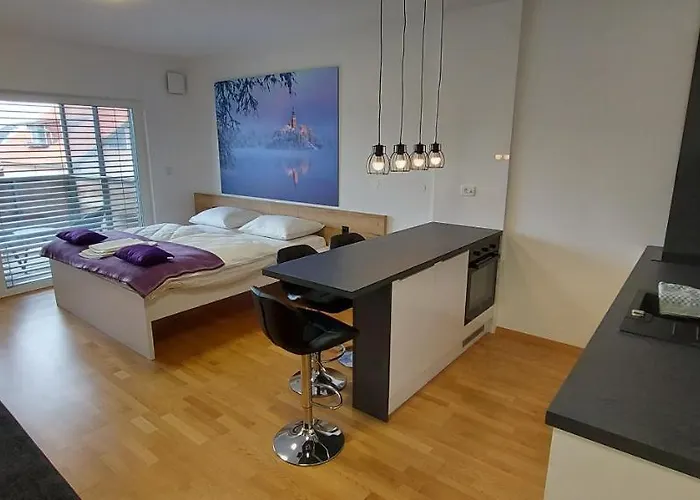 & Burgers Rezidenca Pipanova Hotel apartamentowy Lublana