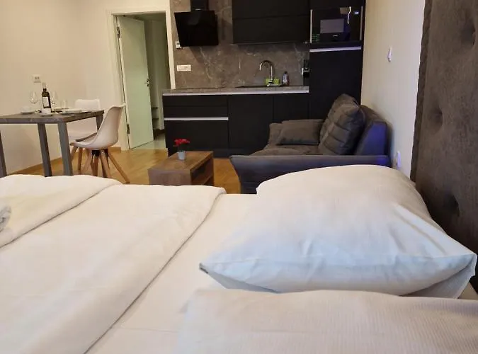 Aparthotel & Burgers Rezidenca Pipanova Lublaň