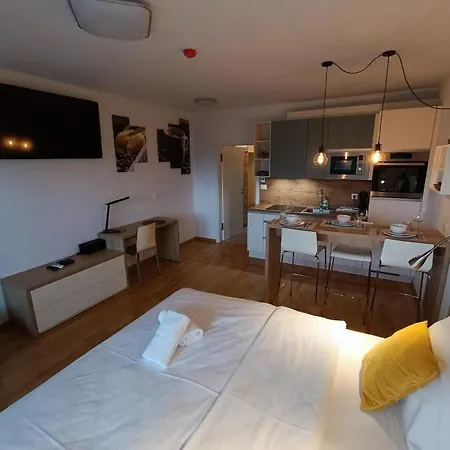 & Burgers Rezidenca Pipanova 4* Любляна